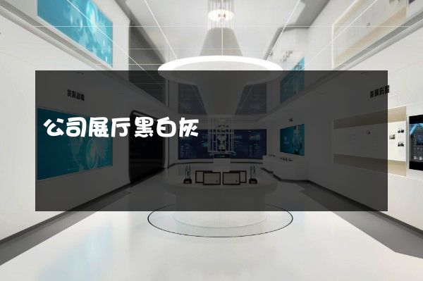 公司展厅黑白灰