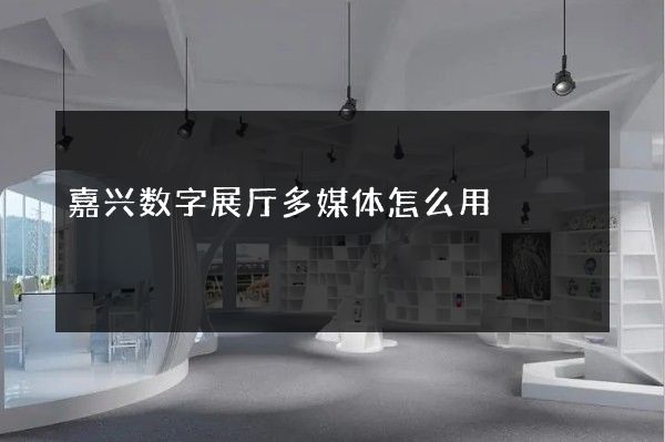 嘉兴数字展厅多媒体怎么用