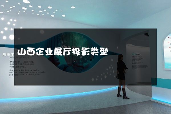 山西企业展厅投影类型