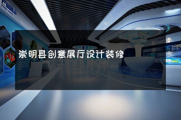 崇明县创意展厅设计装修