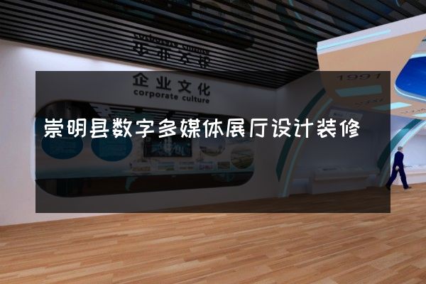 崇明县数字多媒体展厅设计装修