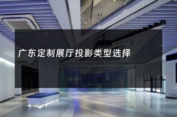 广东定制展厅投影类型选择