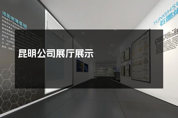 昆明公司展厅展示