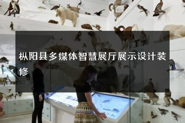 枞阳县多媒体智慧展厅展示设计装修