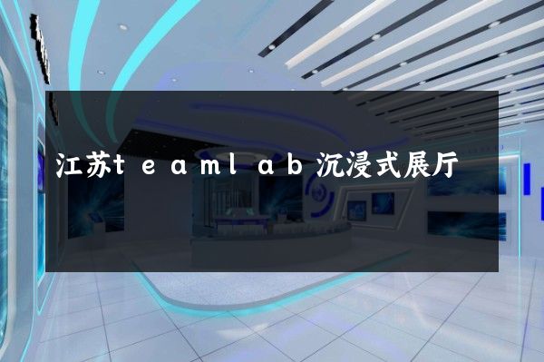 江苏teamlab沉浸式展厅