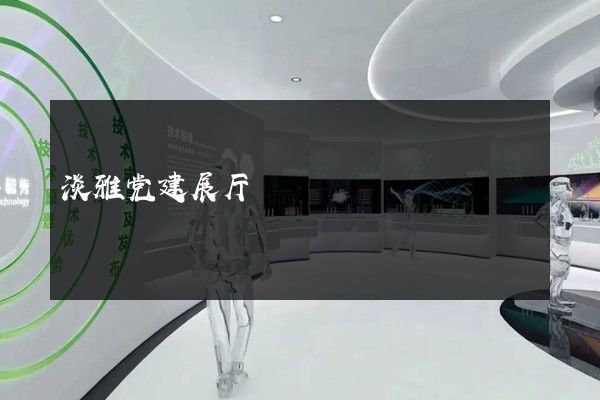 淡雅党建展厅