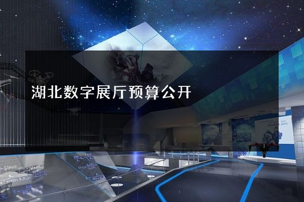 湖北数字展厅预算公开