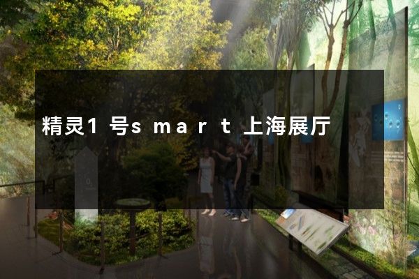 精灵1号smart上海展厅