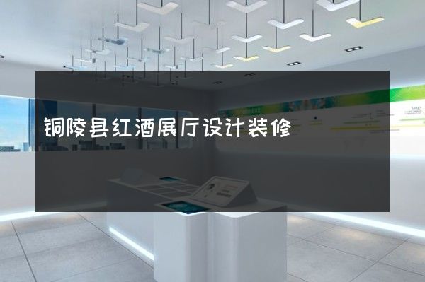 铜陵县红酒展厅设计装修